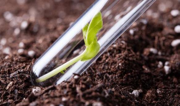 土壤養分診斷儀 土壤養分診斷儀