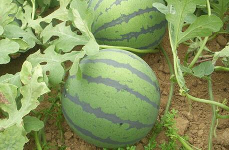 1635407720144392.jpg QQ截圖20210325161503.jpg