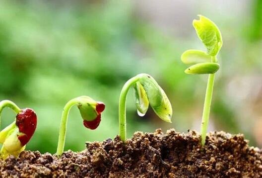 土壤成分分析儀助力農業生產節本增效