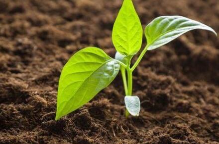 土壤養(yǎng)分檢測儀品牌 土壤養(yǎng)分檢測儀品牌