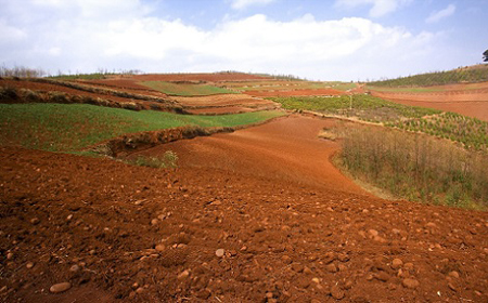 如何正確購(gòu)買(mǎi)土壤養(yǎng)分檢測(cè)儀?