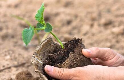 土壤重金屬測定儀 土壤重金屬測定儀