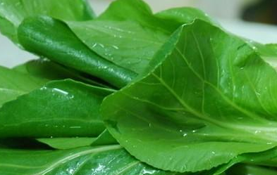 肥料養分檢測儀 肥料養分檢測儀