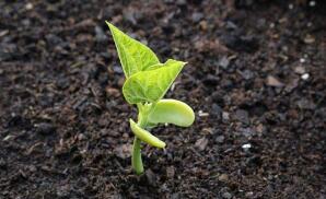 測土配方施肥儀 測土配方施肥儀