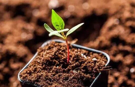 土壤養(yǎng)分診斷儀 土壤養(yǎng)分診斷儀